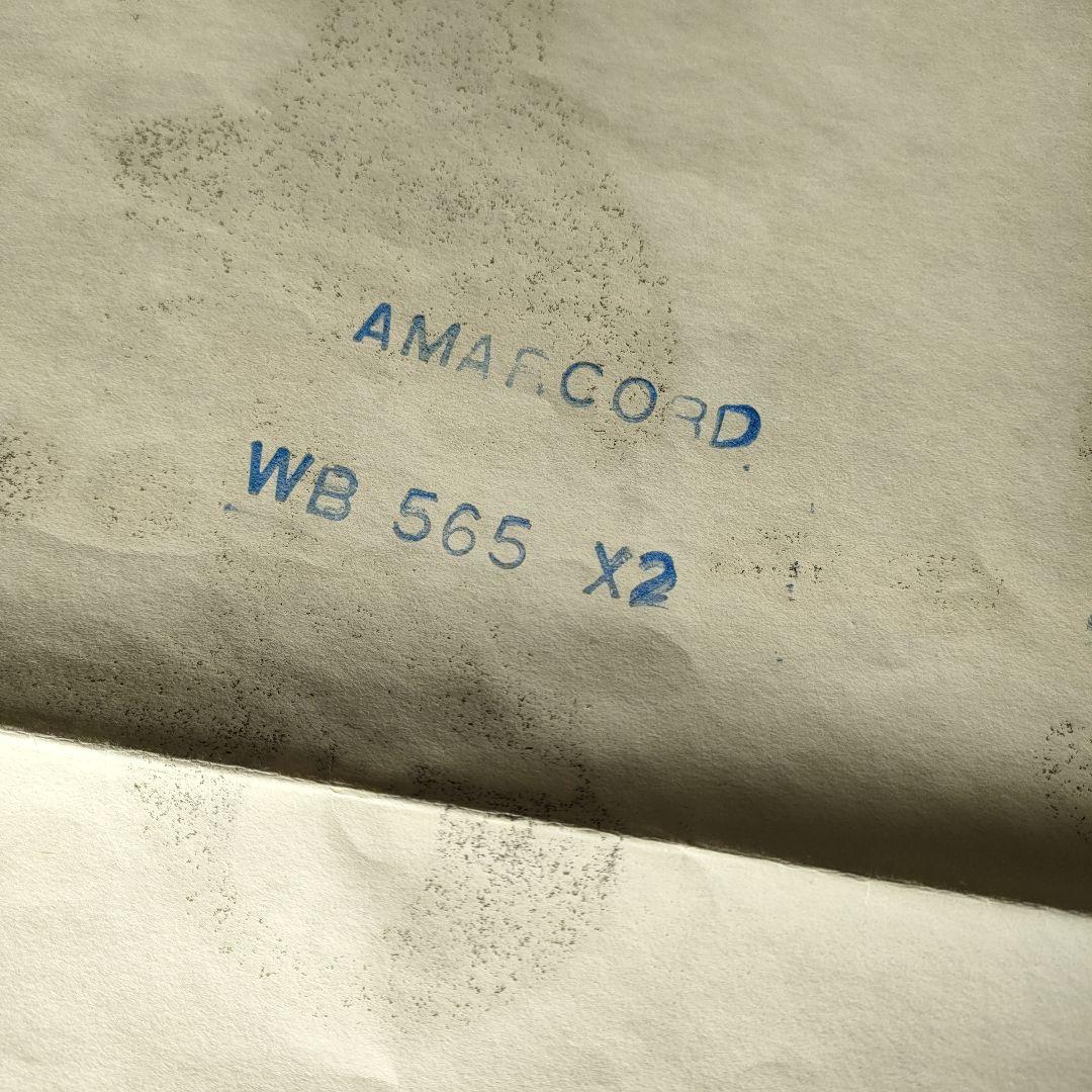 フェデリコ・フェリーニ監督「アマルコルド」 初版オリジナルポスター