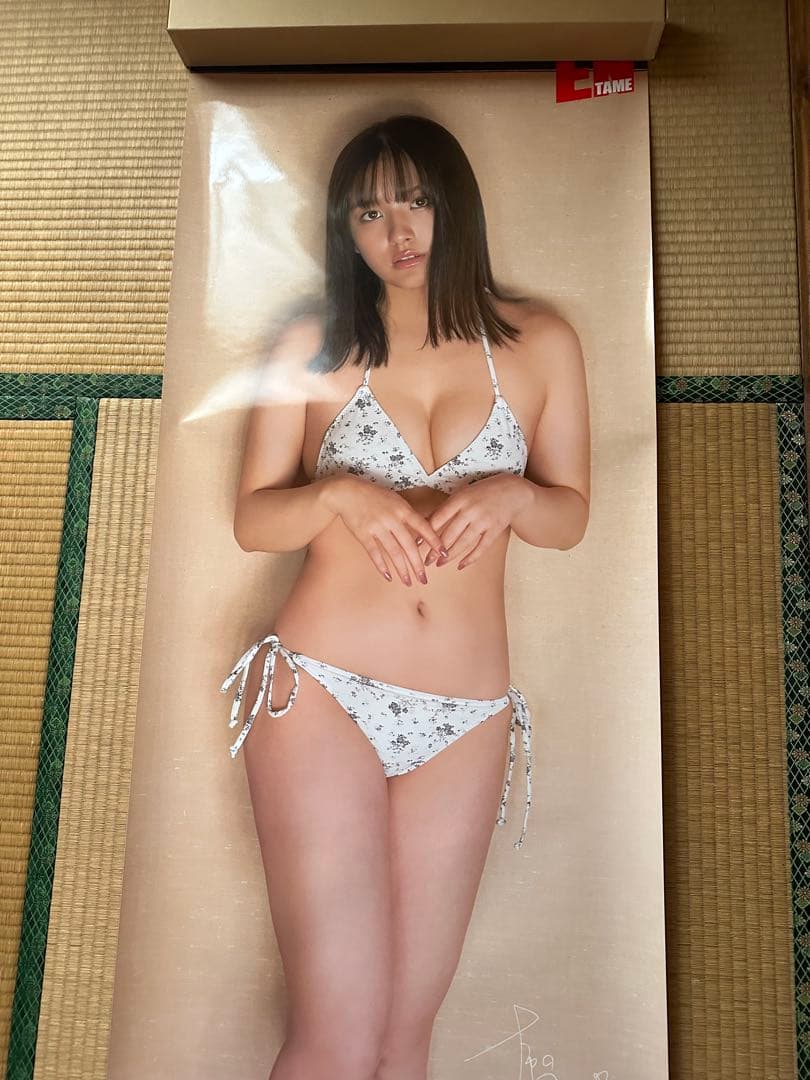 ぴーや 等身大ポスター大和田南那、天木じゅん、華村あすか、くりえみ5枚