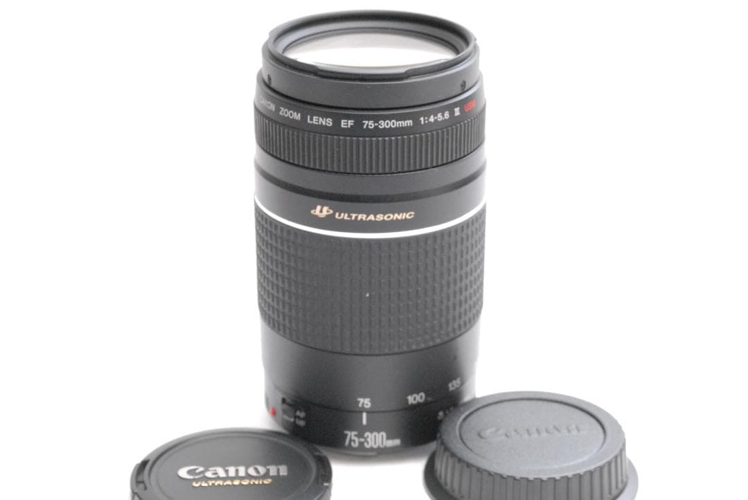 CANON ZOOM LENS EF 75-300mm 1:4-5.6 ⅢUSM