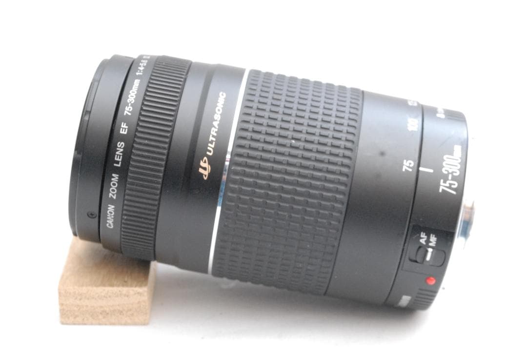 CANON ZOOM LENS EF 75-300mm 1:4-5.6 ⅢUSM
