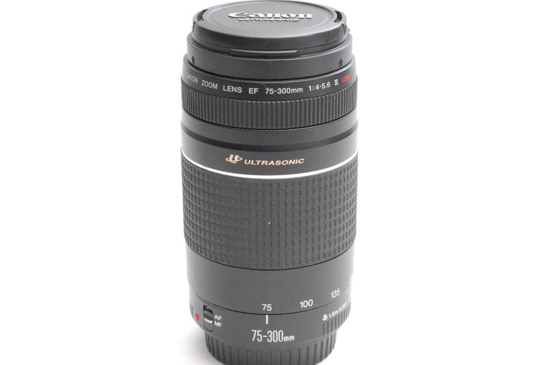 CANON ZOOM LENS EF 75-300mm 1:4-5.6 ⅢUSM