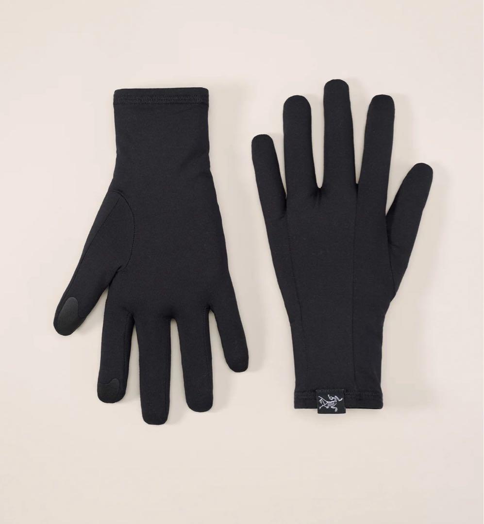 ARC'TERYX ローグローブ