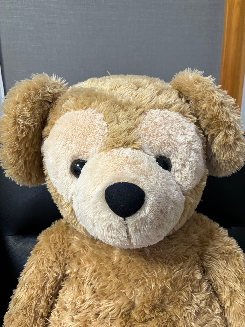 DISNEY ダッフィー Lサイズ 【1/28までの出品】