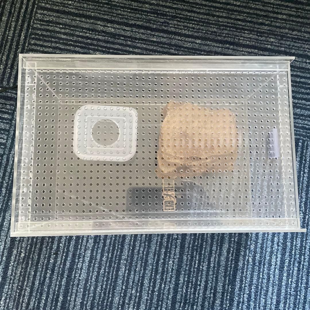 爬虫類飼育セット 中型