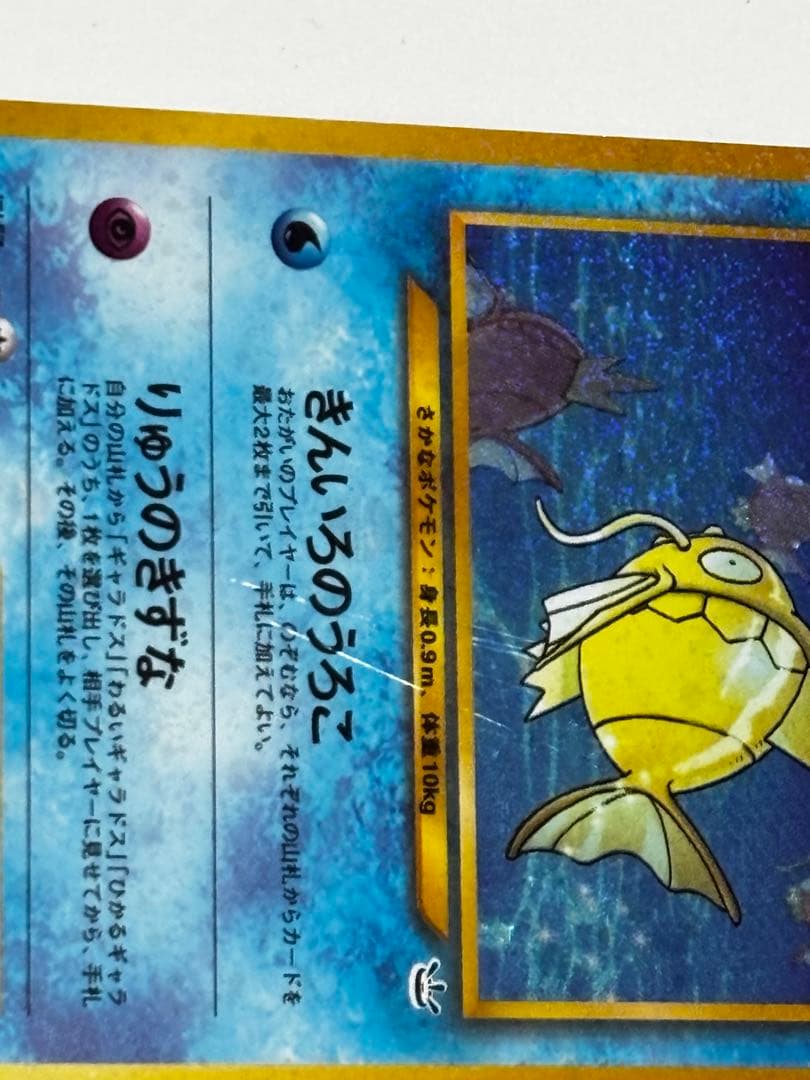 【即購入可能】ひかるコイキング めざめる伝説　旧裏