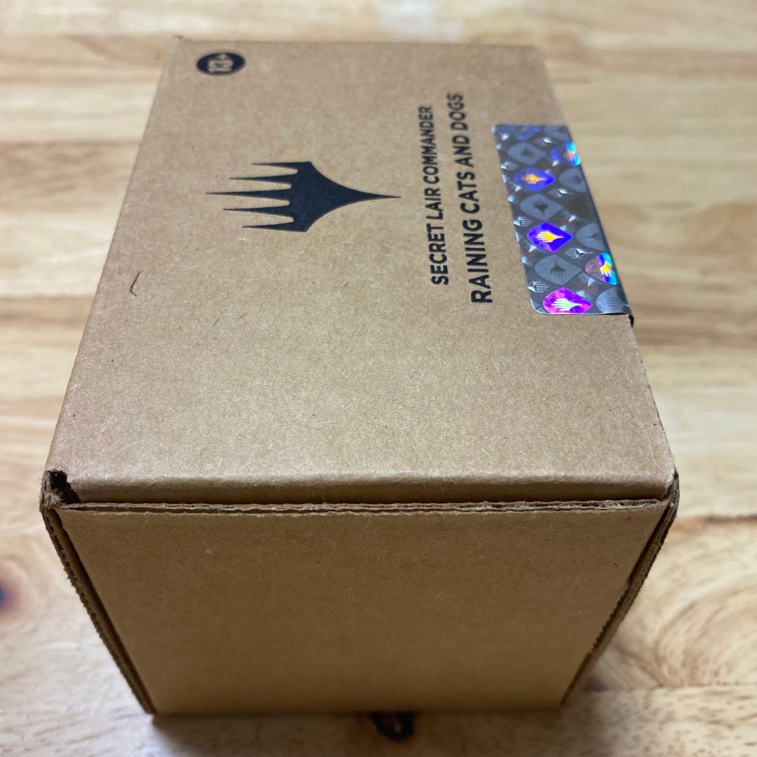 MTG Raining Cats and Dogs 1個