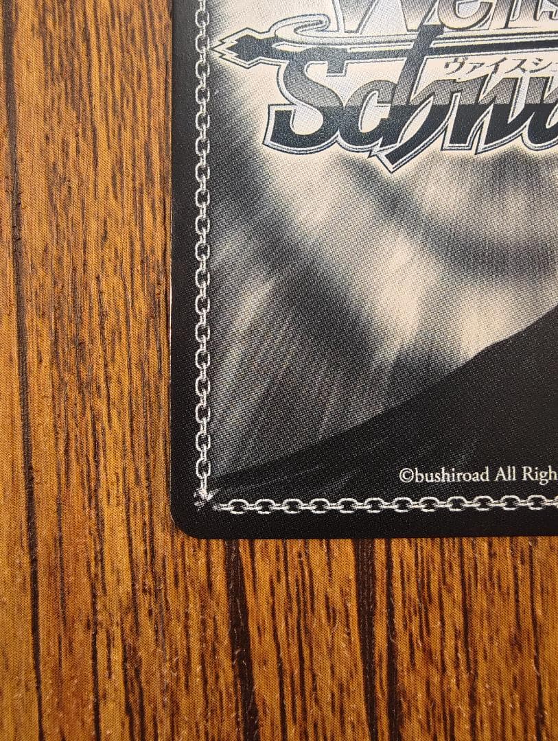 W96-T03SSP プールサイドの誘惑 トール サイン入り