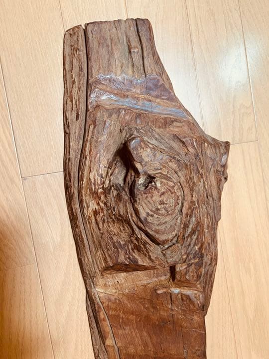 装飾用最高級流木★マングローブ系プレミアム