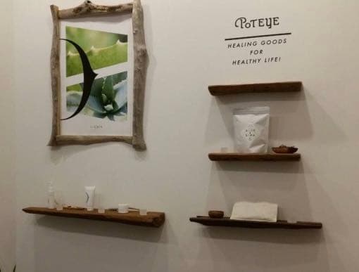 装飾用最高級流木★マングローブ系プレミアム