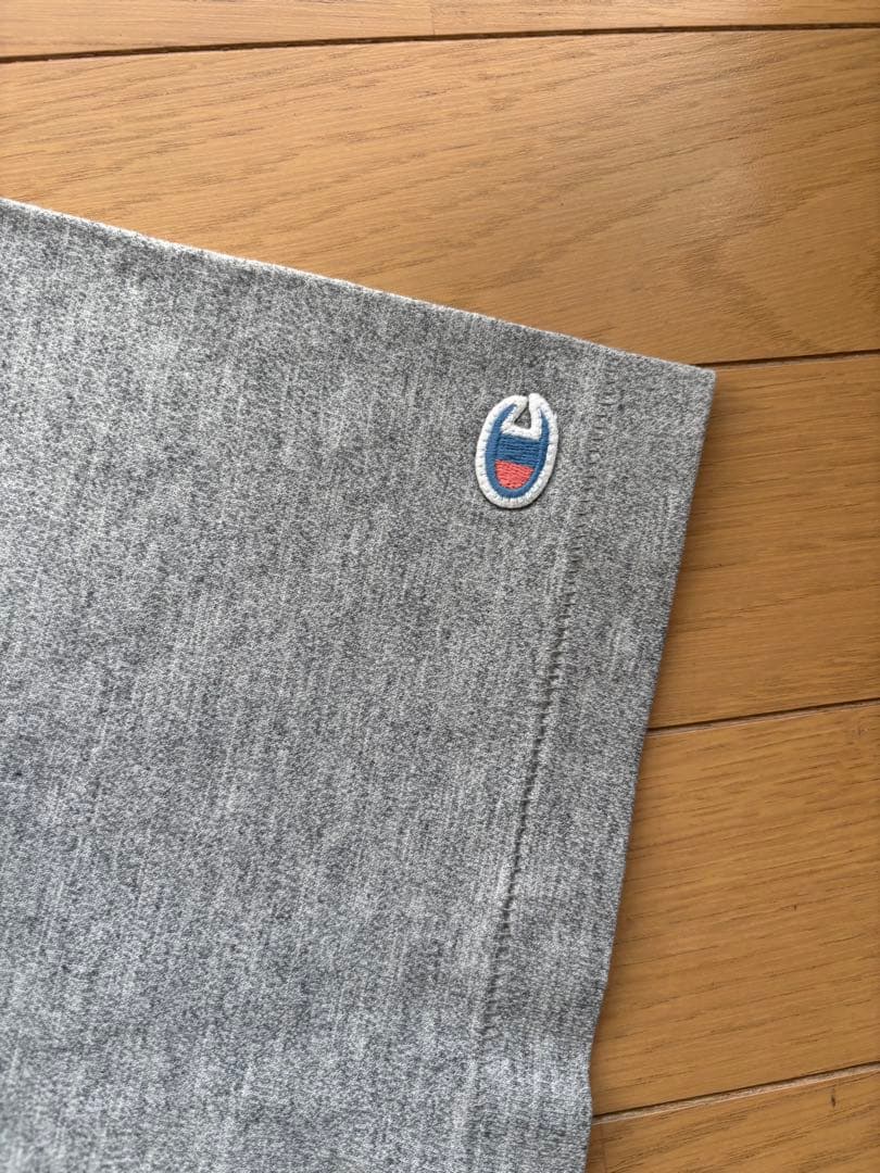 STUSSY × Champion Rochester Tシャツ グレー XL