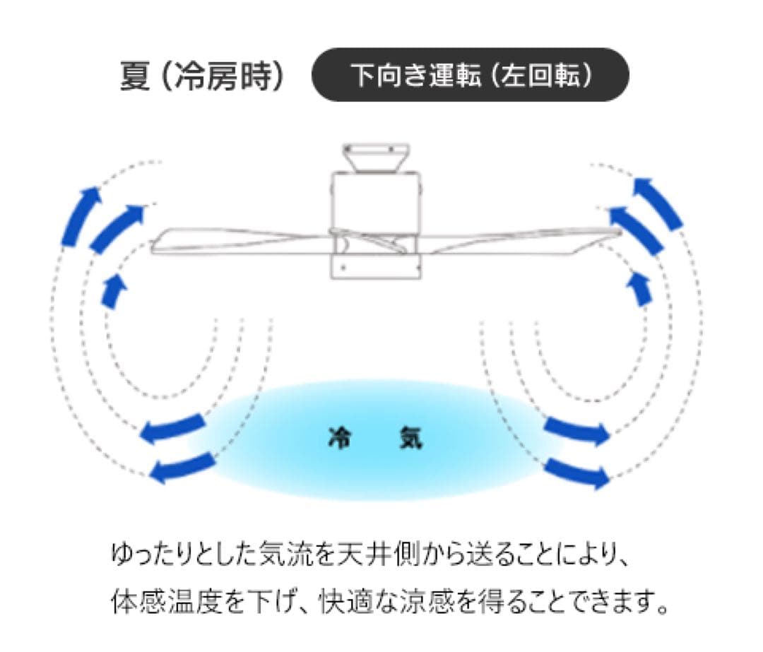 ODELIC オーデリック⭐️シーリングファンライト　2023年製