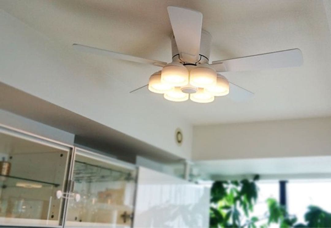 ODELIC オーデリック⭐️シーリングファンライト　2023年製