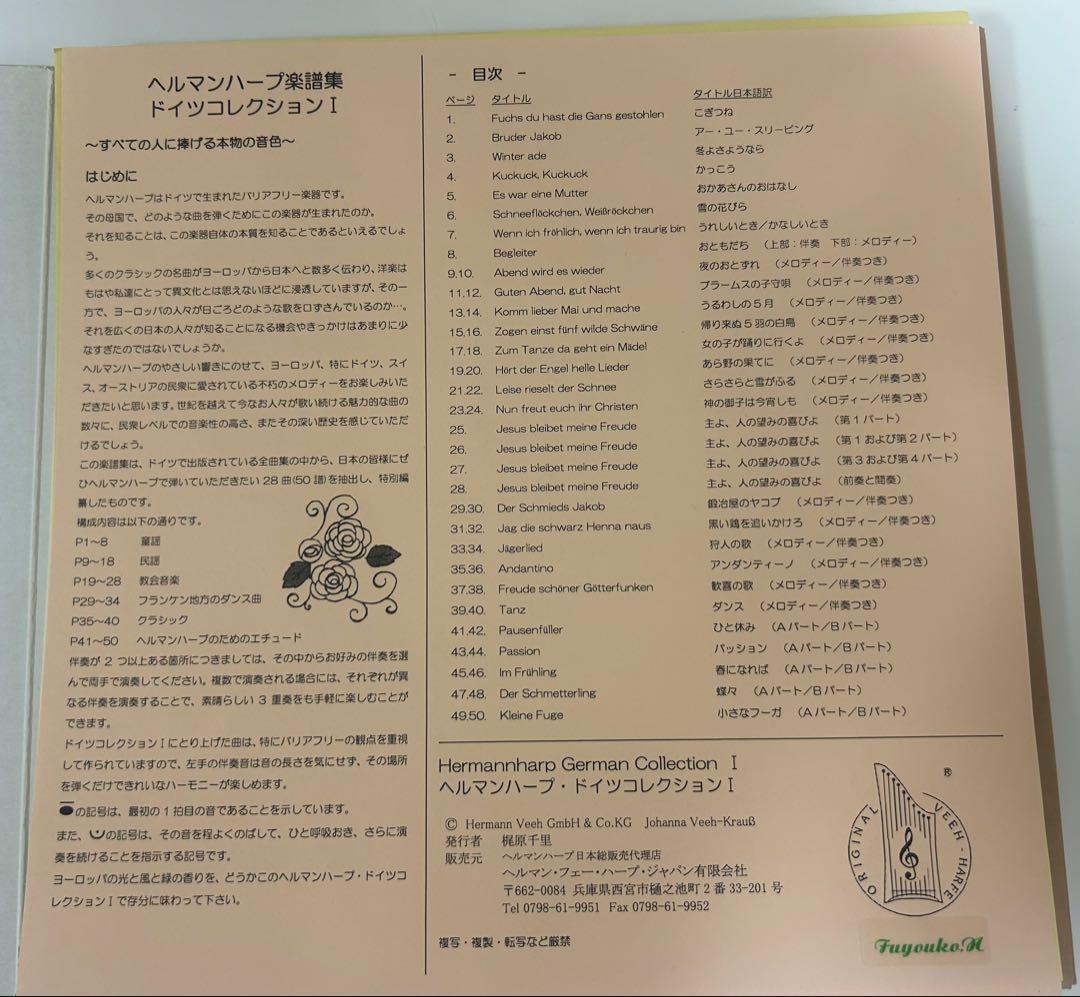 ヘルマンハープ Mタイプ 25弦 2013年製