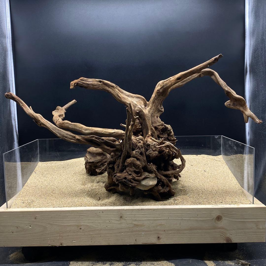 MSRW-6625 特大天然流木1点物　スリムウッド　アクアリウム