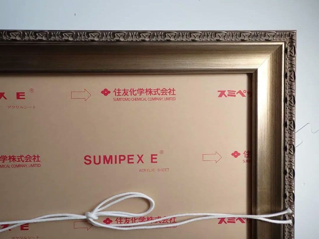 額縁 油彩 Ｆ６ アクリル板 未使用【送料込・匿名発送】