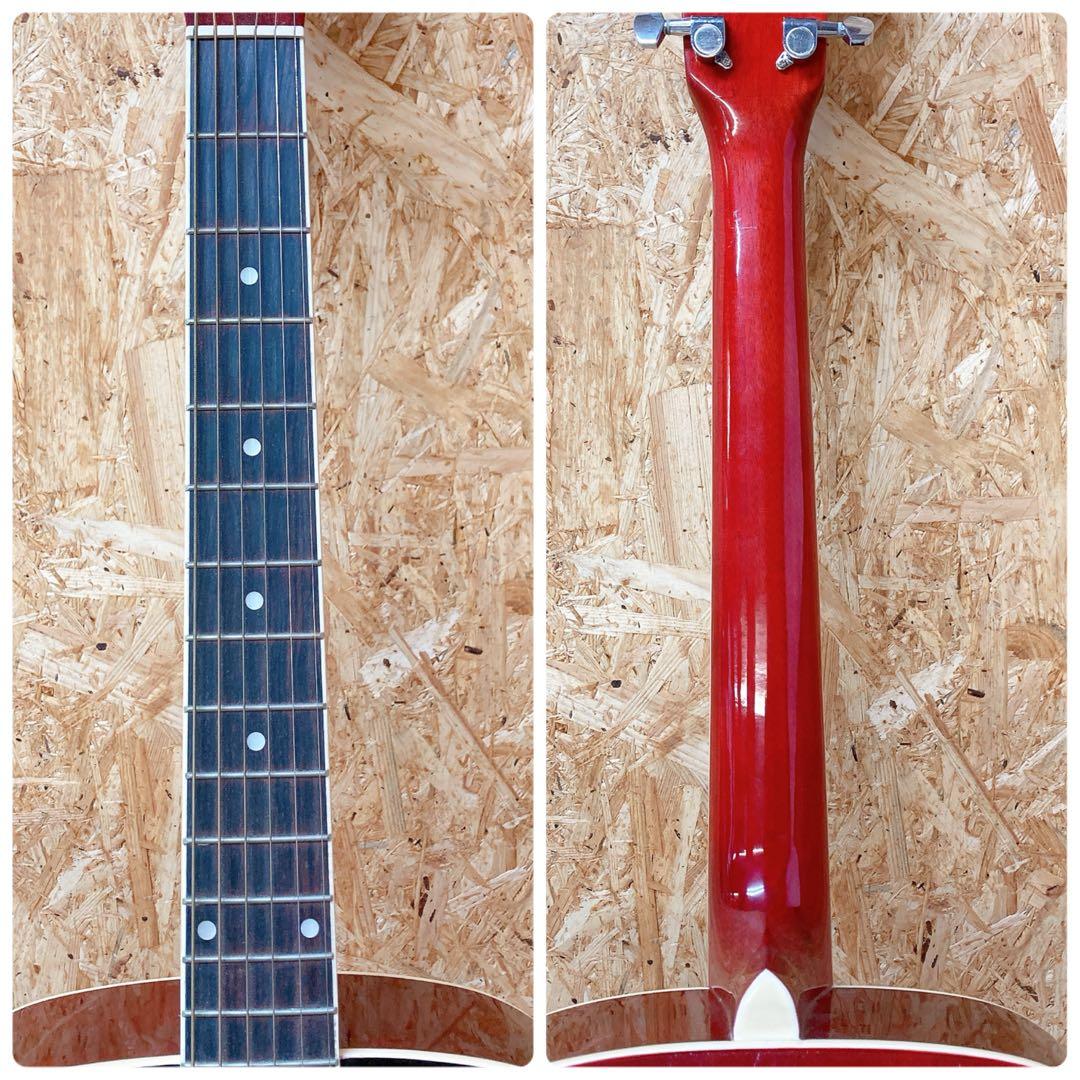 HONEY BEE F-15 RDS ハニービー　アコースティックギター