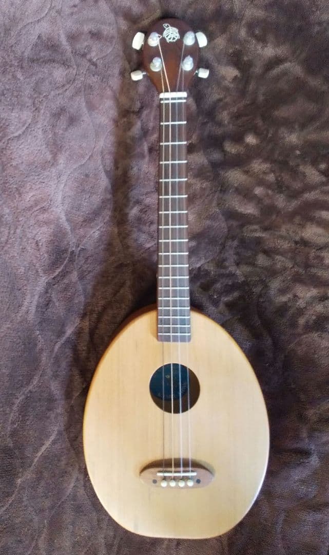 楽器　一五一会　奏生　DVD付き