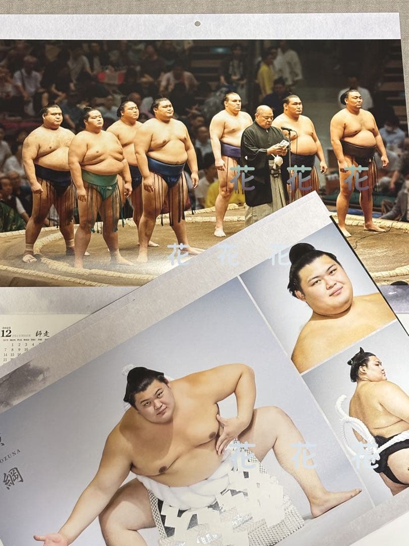 大相撲✨2026年 令和8年 相撲カレンダー 10部 おまけ付き