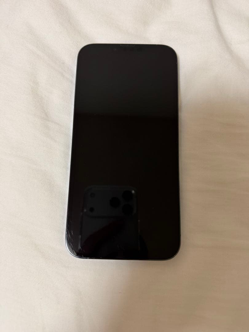 バッテリー100% iPhone 13 Pro Max シエラブルー 256GB