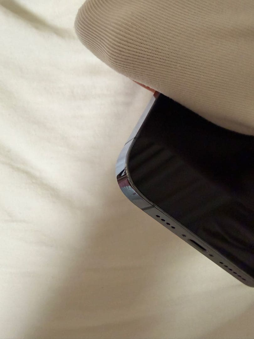 バッテリー100% iPhone 13 Pro Max シエラブルー 256GB