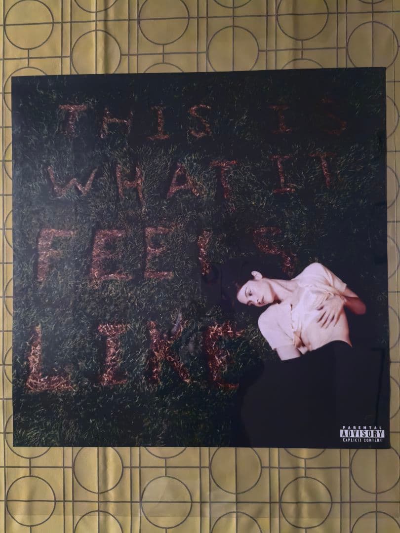 グレイシーエイブラムス-ThisIs WhatItFeelsLike特注ポスター