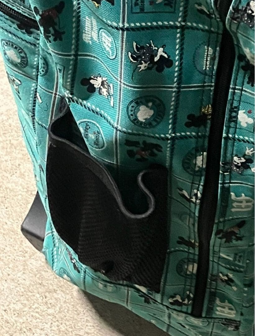 ディズニー緑キャリーカートミッキーミニー サイドポケットセキュリティポケット有り