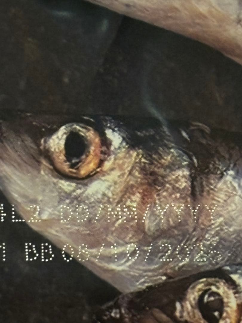 ACANA Pacifica Recipe 6kg 2袋 計12kg サンプル付