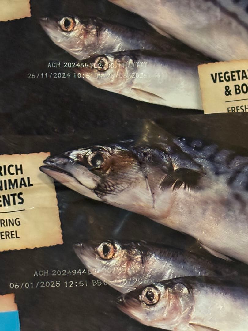 ACANA Pacifica Recipe 6kg 2袋 計12kg サンプル付