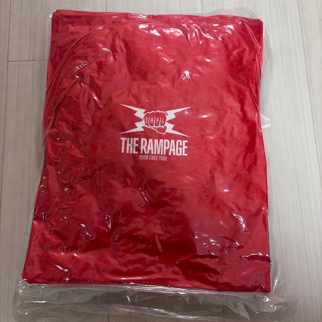 長谷川慎　クッション　PRIMALSPIDER プラスパ新品未開封　匿名配送