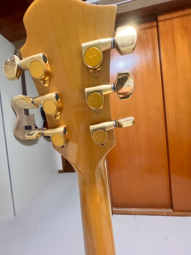 XJAPAN HIDE モデル　モッキンバードFERNANDES burny