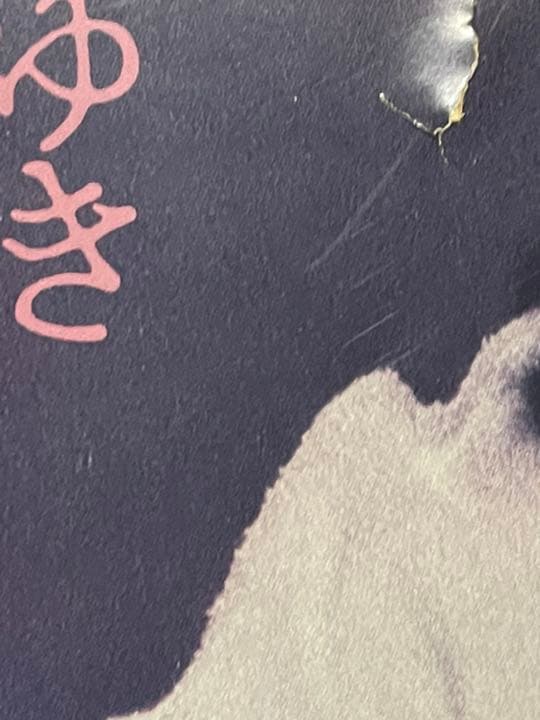 中島みゆき　「臨月」 パネル