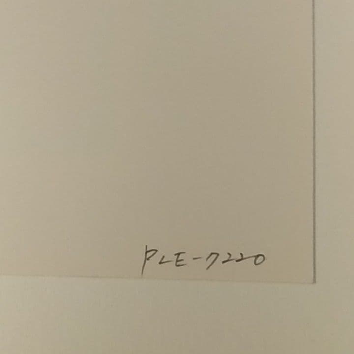 小澤摩純Dick and the Cats