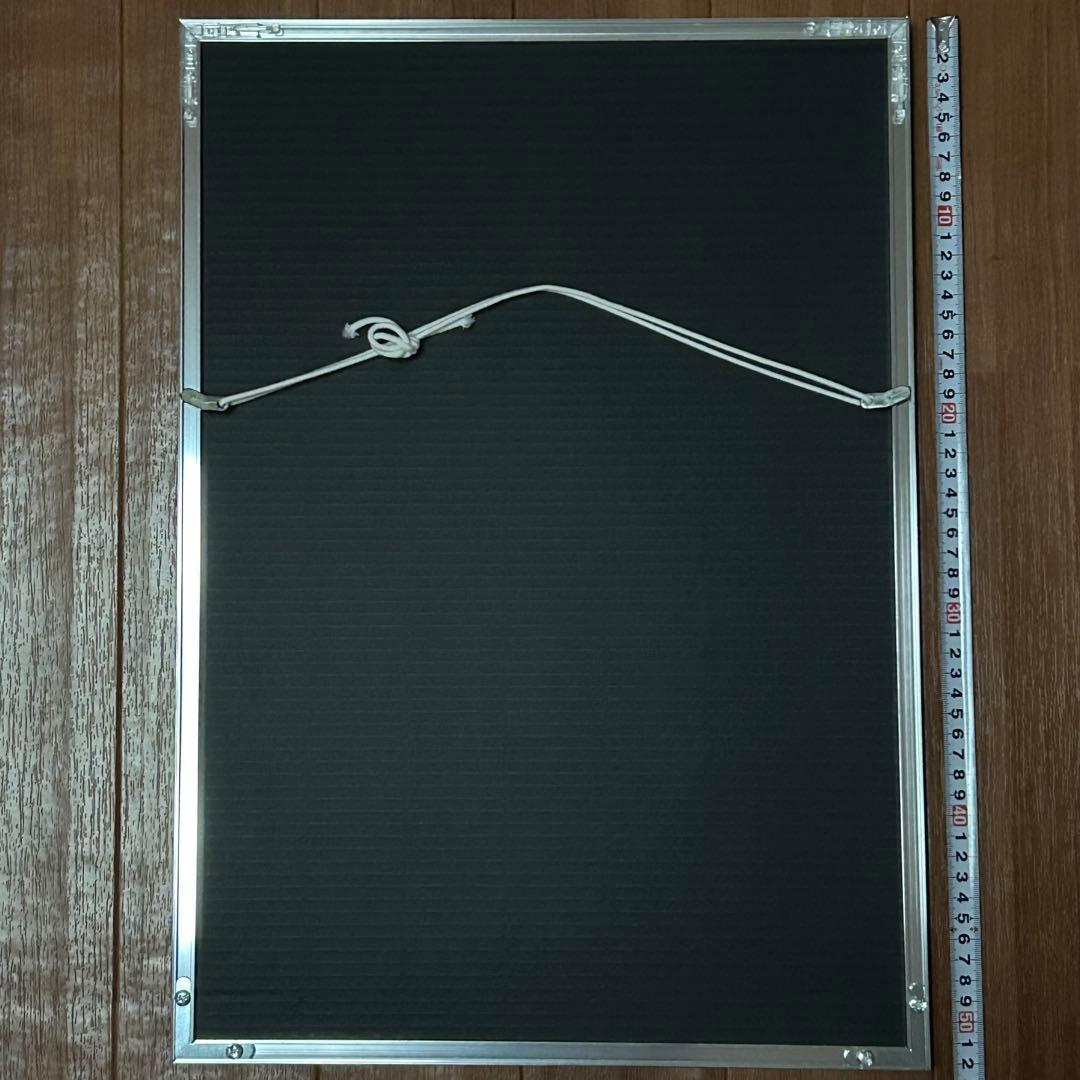 ヴァンパイア騎士 樋野まつり 若月佑美 直筆サイン入りポスター 懸賞 優姫 零