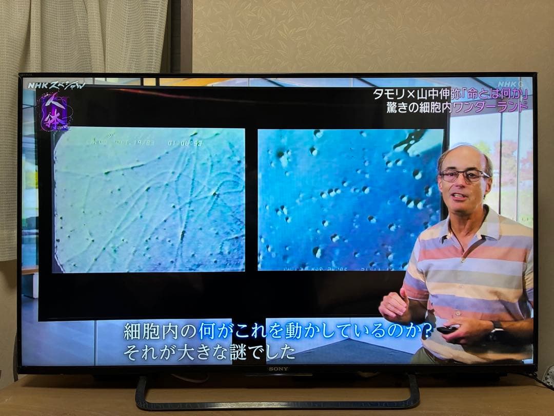 SONY KJ-49X8500C 液晶テレビ 49インチ 4K