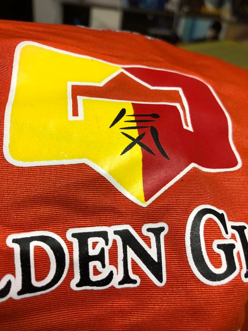 アリスターオーフレイム　ショーツ　ファイトショーツ　MMA GEAR レア　希少