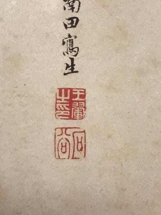 清　惲壽平　秋花圖　二玄社　原寸　鑑定品