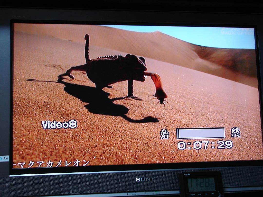 ●SONY　HI8/VHS　Wデッキ　WV-TW2●メンテ済動作品●代用リモ付き