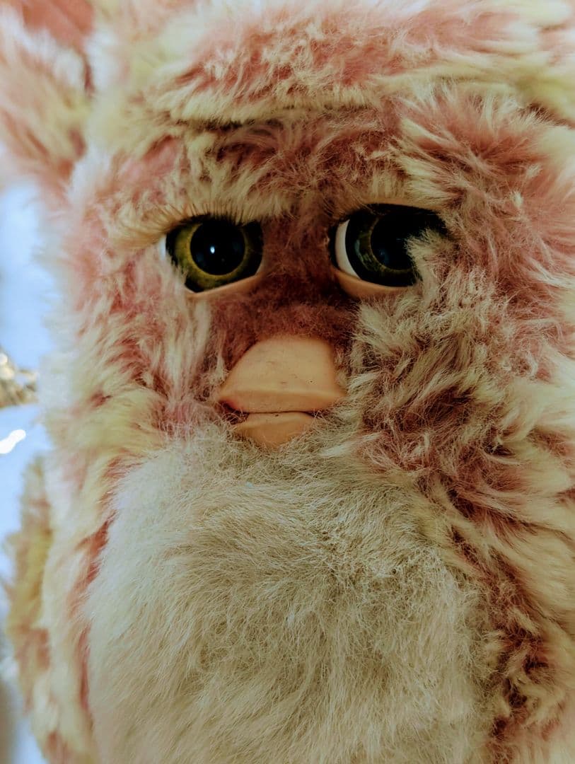 売り切り！ファービー ２ セット売り