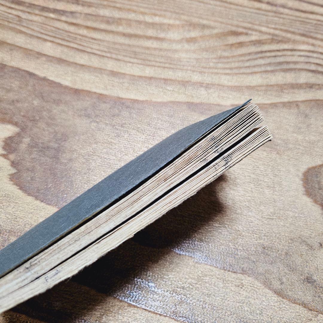 po9224※難有 絵草紙 花裘狐草紙 妖怪 狐変化 幽霊ほか戯作 和本 浮世絵