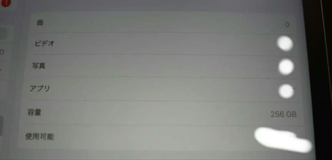 iPad Pro 12.9 (第6世代)256GB 社外Pencil付(交渉可)