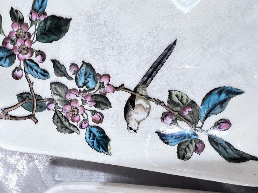 ジョージ・ジョーンズ　角皿　花鳥図 4枚組