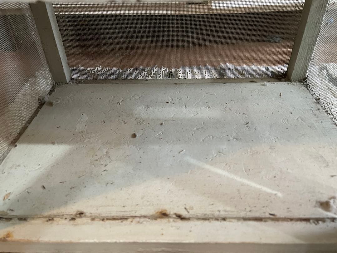 イギリスアンティークシェルフ