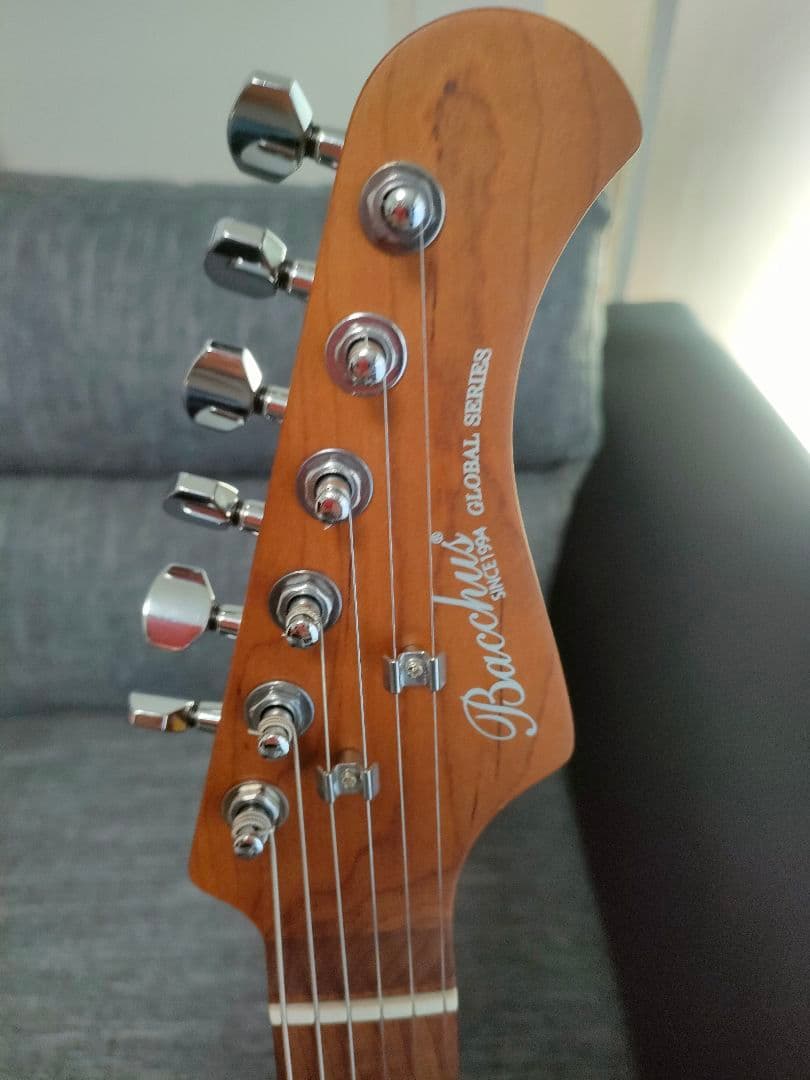 今年1月購入　試奏だけ　Bacchus　WINDY-BREAKER/RSM