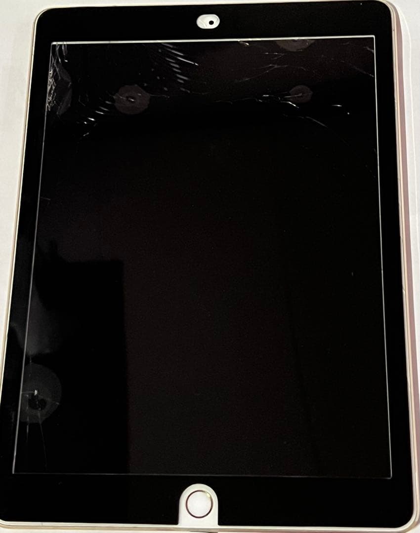 iPad Pro 9.7インチ 256GB Wi-Fiモデル 訳あり品 HDMI