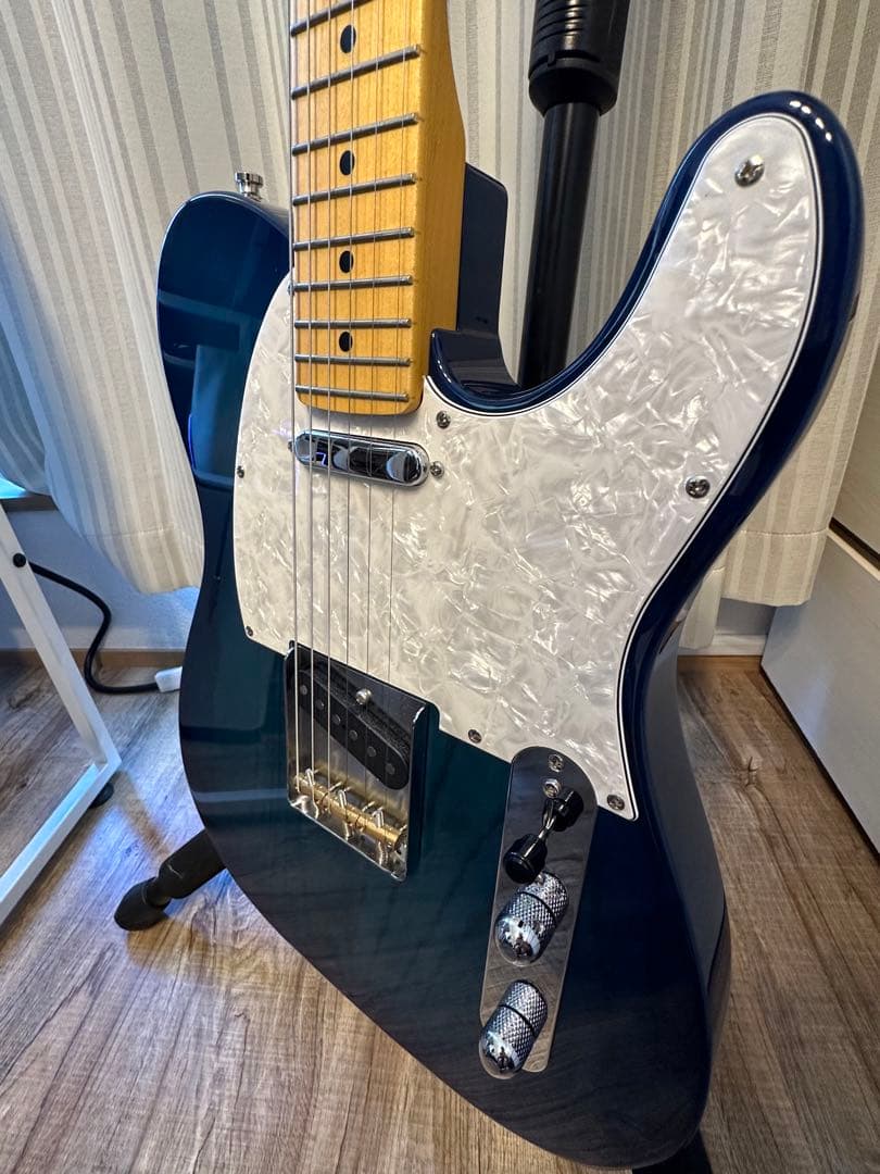 ギター FGN Neo Classic NTE100MAH SBB