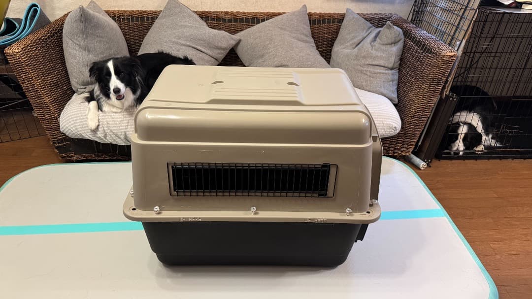 ペットメイト　バリケンネル　MLサイズ P-300