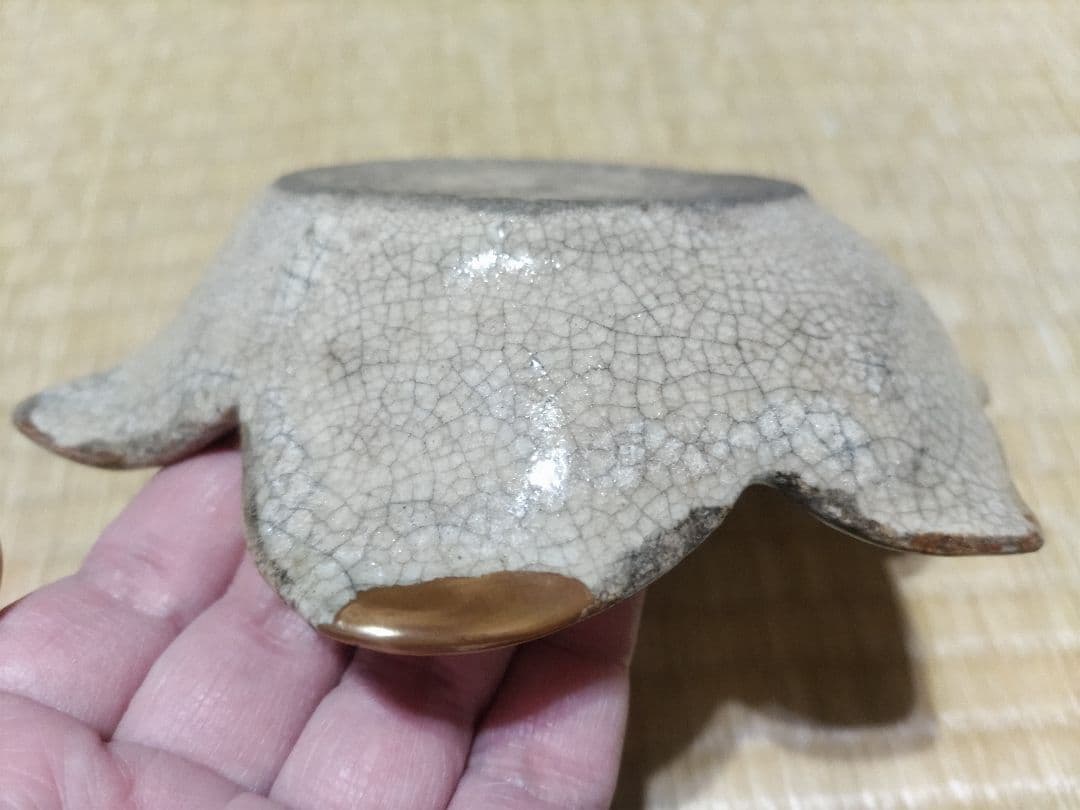 志野釉　御深井焼　向付　本金直し