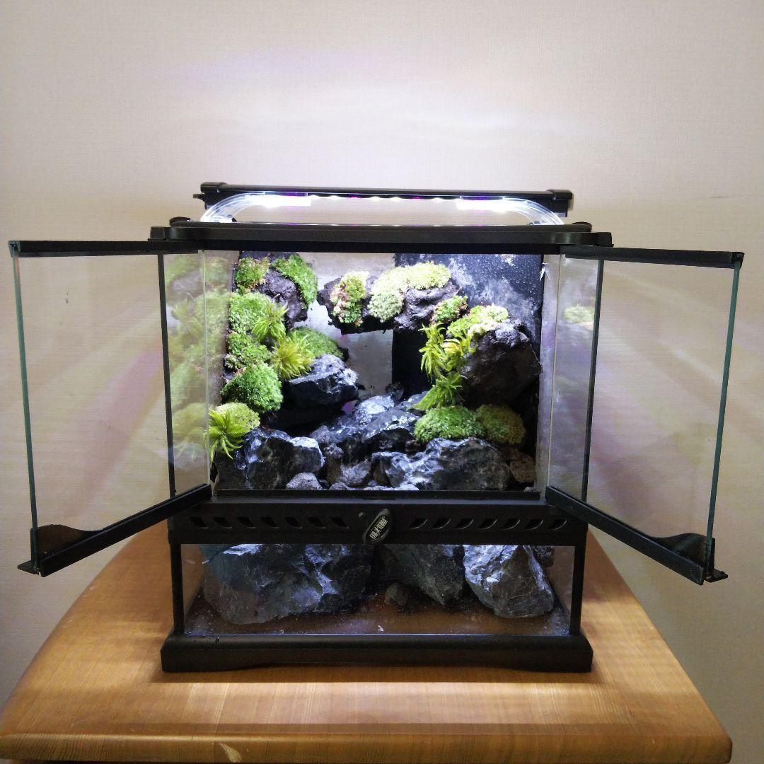 【受注生産】イモリウムグラステラリウム3030　苔テラリウム　アクアテラリウム