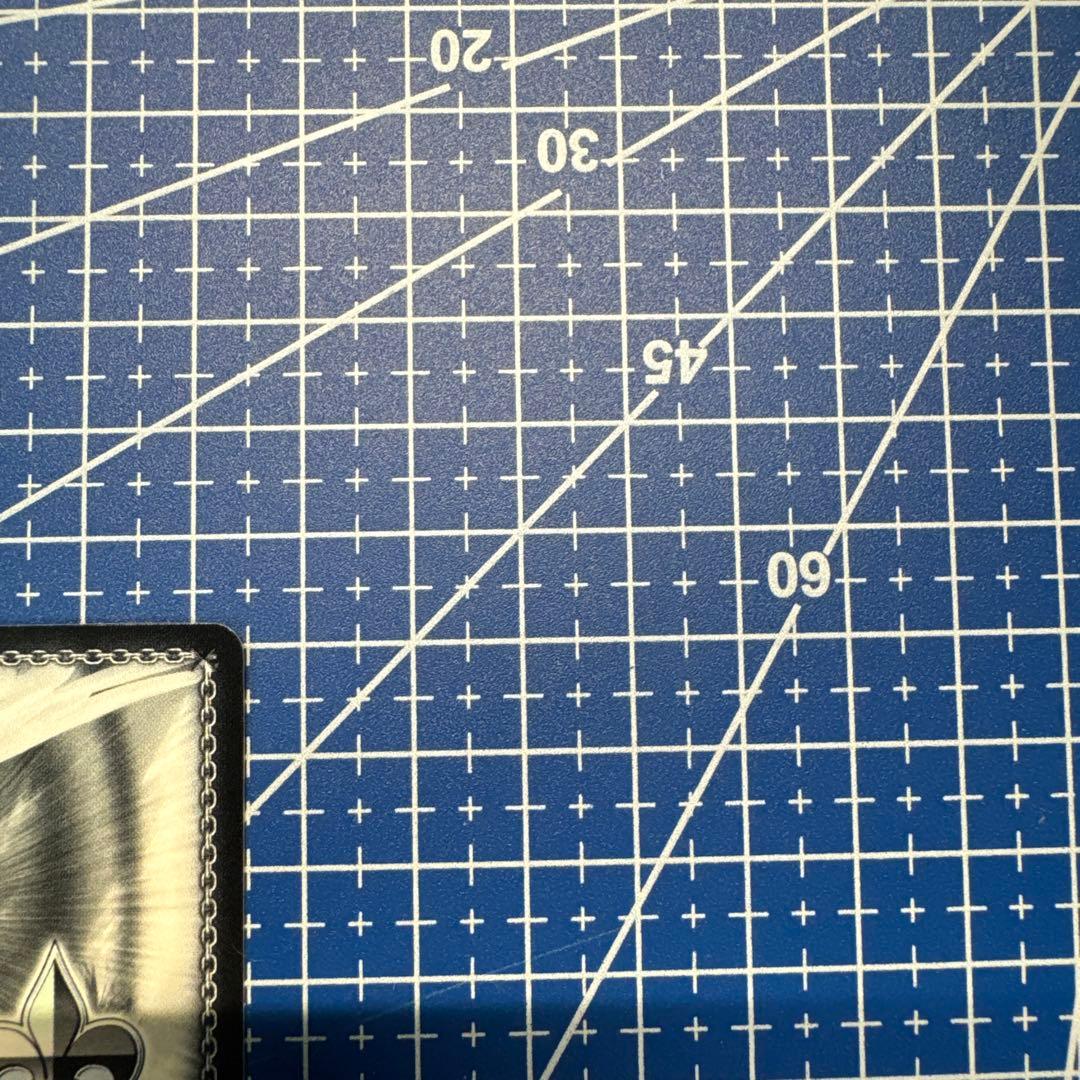 ヴァイス 角川Vol.2 守りたいもの 刃更&澪 SP サイン 432