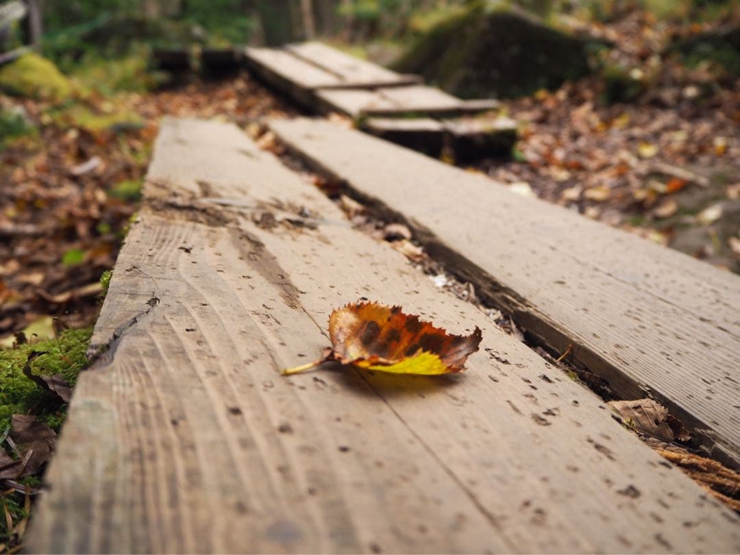 【SONY】85mm f1.8 単焦点レンズ